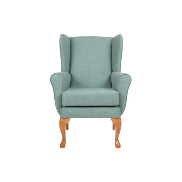 Mineral20Queen20Anne20Fireside20Chair20FSC009MIN2028129.jpg