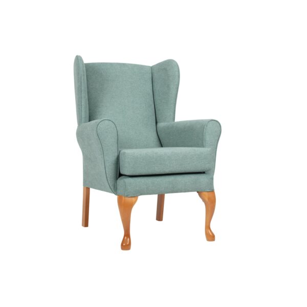 Mineral20Queen20Anne20Fireside20Chair20FSC009MIN2028329.jpg