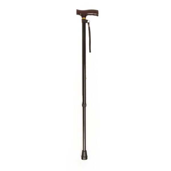 T20handle20cane20black2010335.jpg