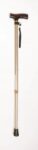T_Handle_Walking_Stick_-_Bronze_Wave.jpg