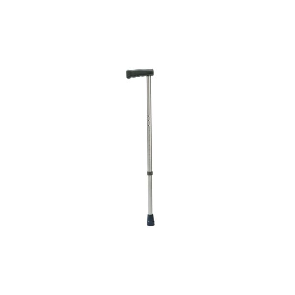 WS020-30_Walking_Stick.jpg