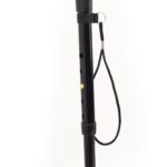 Walking_Stick_WS008S_3001.jpg