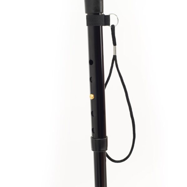 Walking_Stick_WS008S_3001-2.jpg