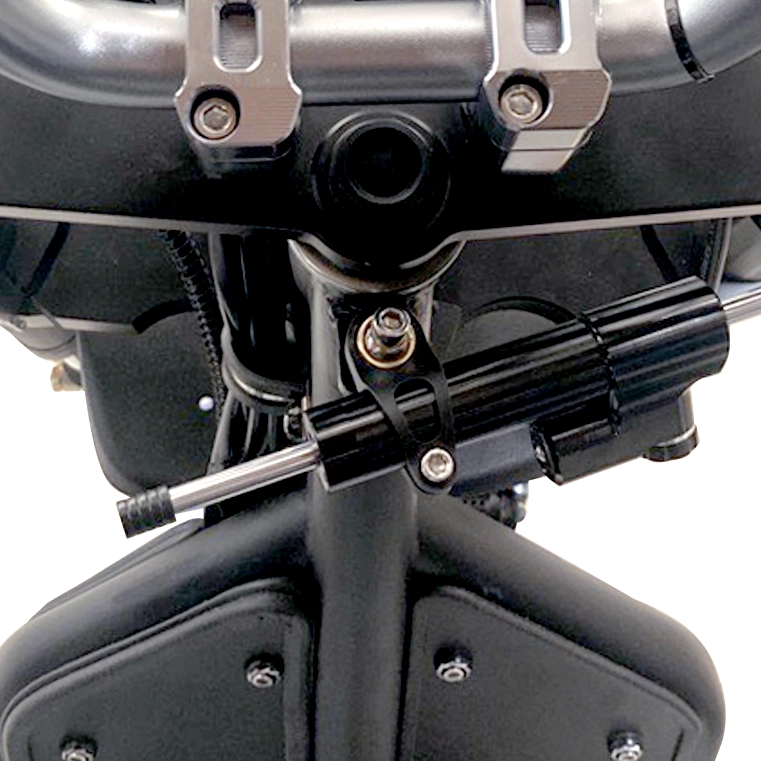 Scooterpac Invader Reverse Steering Damper
